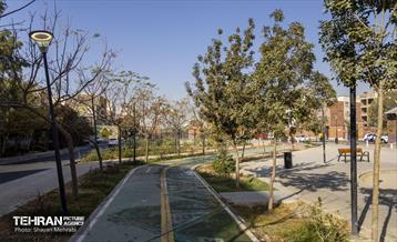 به وقت خدمت؛ باغ‌راه حضرت زهرا(س) محدوده امامزاده حسن (ع) 40