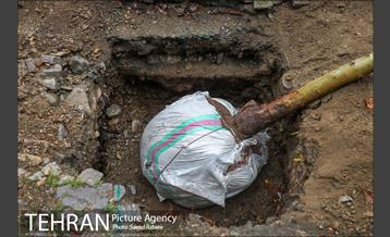 آئین کاشت درخت زندگی 45