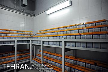 شبگردی اصحاب رسانه در خط 7 مترو تهران 24