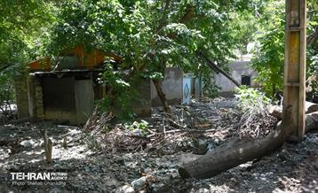 امداد رسانی شهرداری منطقه 14 به مناطق سیل زده فیروزکوه 1