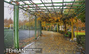 پاییز در بوستان رازی 22