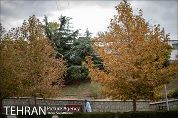 پاییز زیبای پایتخت- 3