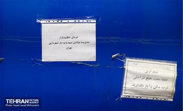 بازدید از سردخانه 24