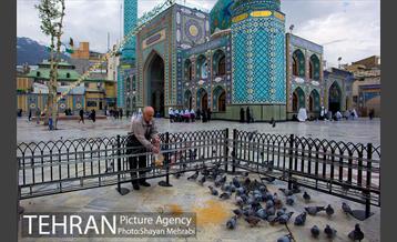 امامزاده صالح (ع) 24