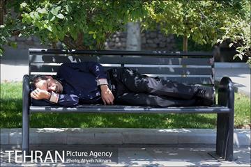 گشتی در خیابان ولیعصر(عج) 10