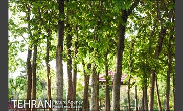 بوستان پلیس 25