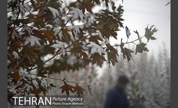 برف پاییزی در تهران 5