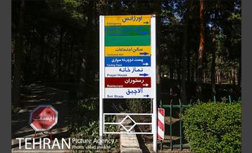 پارک چیتگر 21