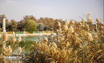 سمفونی رنگ های پاییزی - بوستان رازی 16