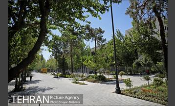 گذر پیاده راه استاد شهریار 17