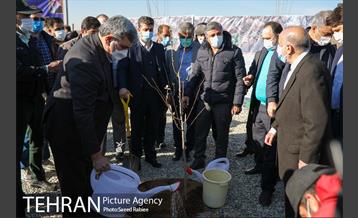 بازدید و افتتاح پروژه جنگل کاری 1000هکتاری در بوستان جنگلی تلو 34