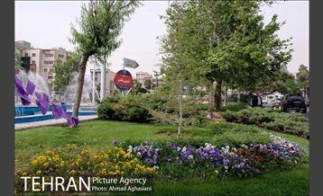 آیین رونمایی از تابلوی میدان قمر بنی هاشم (ع) 3