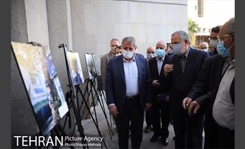 آیین نکوداشت درختان بالای صد سال تهران 14