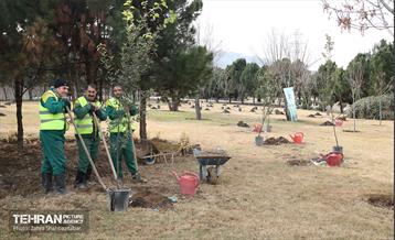 آیین پدران آسمانی  18