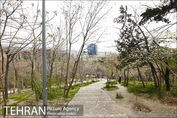 بوستان طالقانی 11