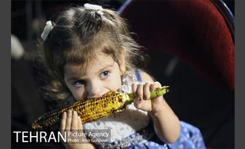 شب های شاد دریاچه خلیج‌فارس 3