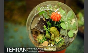 هشتمین نمایشگاه گل و گیاه تهران 19