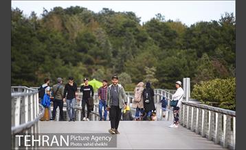 پل طبیعت در اولین روزهای پاییزیی 18