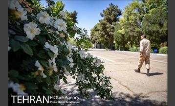 از پادگان 06 تا بوستان بزرگ ارتش 15