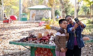 گذر پاییزی بوستان بعثت 18