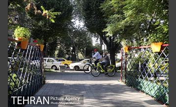 پویش سه شنبه های بدون خودرو 8