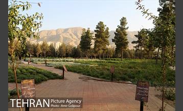 باغ راز هستی 12