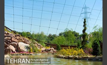 بازدید اصحاب رسانه از فاز ۲ باغ پرندگان 28