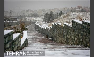 بارش نخستین برف پاییزی در تهران 9