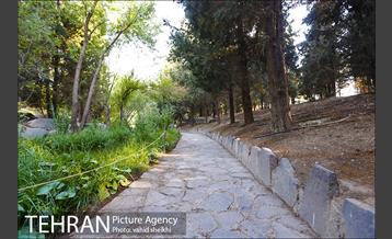 باغ گیاه شناسی ملی ایران  13