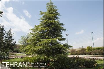 بوستان آزادگان 18