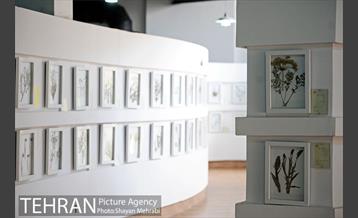 موزه گیاه شناسی دارآباد 5