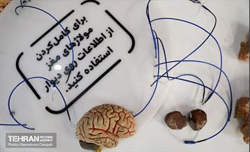 رقابت نهایی 50 شهروند سالمند در لیگ حافظه 22