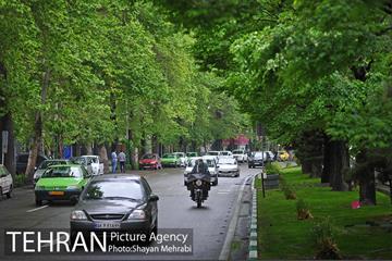 باران بهاری در تهران - 2 19