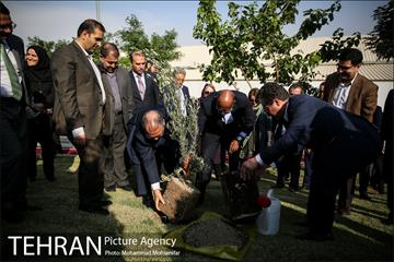 آئین درخت کاری به مناسبت تولد گاندی 14