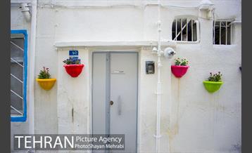 کوچه امیدی رنگ نوروز گرفت 31