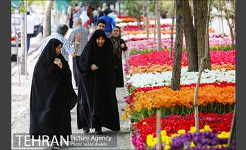پیاده راه لاله برای مادران 24