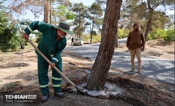 بازدید اصحاب رسانه از روند انجام عملیات احیای چیتگر 46