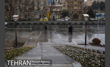 بارش باران در منطقه گردشگری عباس آباد 2