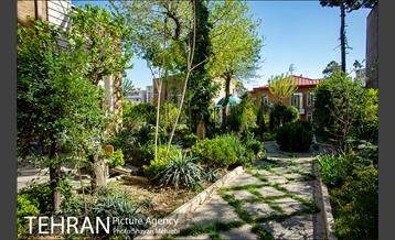 عمارت تاریخی موسسه حکمت و فلسفه 9