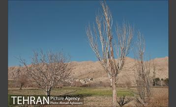 گنبد اینانج و برج نقاره خانه شهرری 6