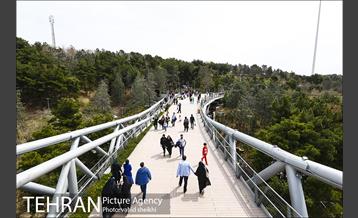 پل طبیعت در تعطیلات نوروز 23