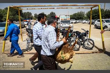 غم هایتان، قربانی شادی هایتان 19