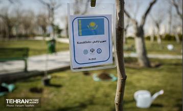 آیین درختکاری در منطقه‌5 31