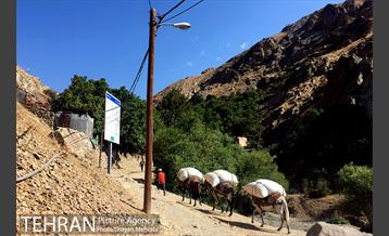 آخر هفته در ارتفاعات درکه 22