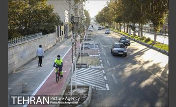 پارک خودرو‌ بین درختان چنار 17