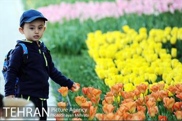 پیاده راه لاله مادران 47