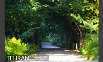 باغ گیاه شناسی ملی ایران  33