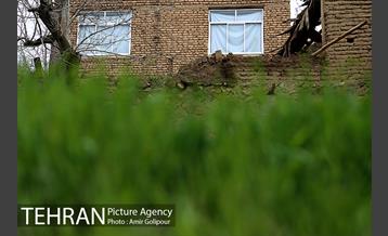 وردیج ، دنیایی از زیبایی 23