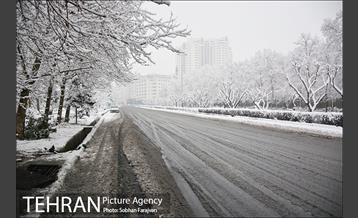 بارش برف زمستانی در تهران-2 14