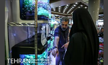 هفدهمین نمایشگاه بین‌المللی گل و گیاه 13